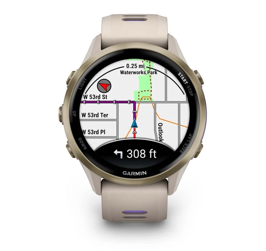 Forerunner® 970 French Gray/Indigo