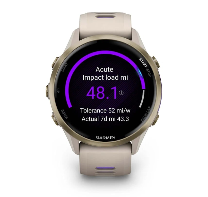 Forerunner® 970 French Gray/Indigo