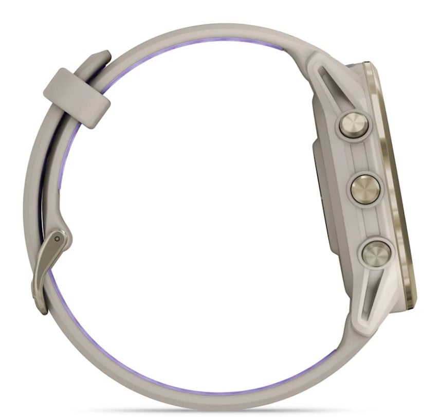 Forerunner® 970 French Gray/Indigo