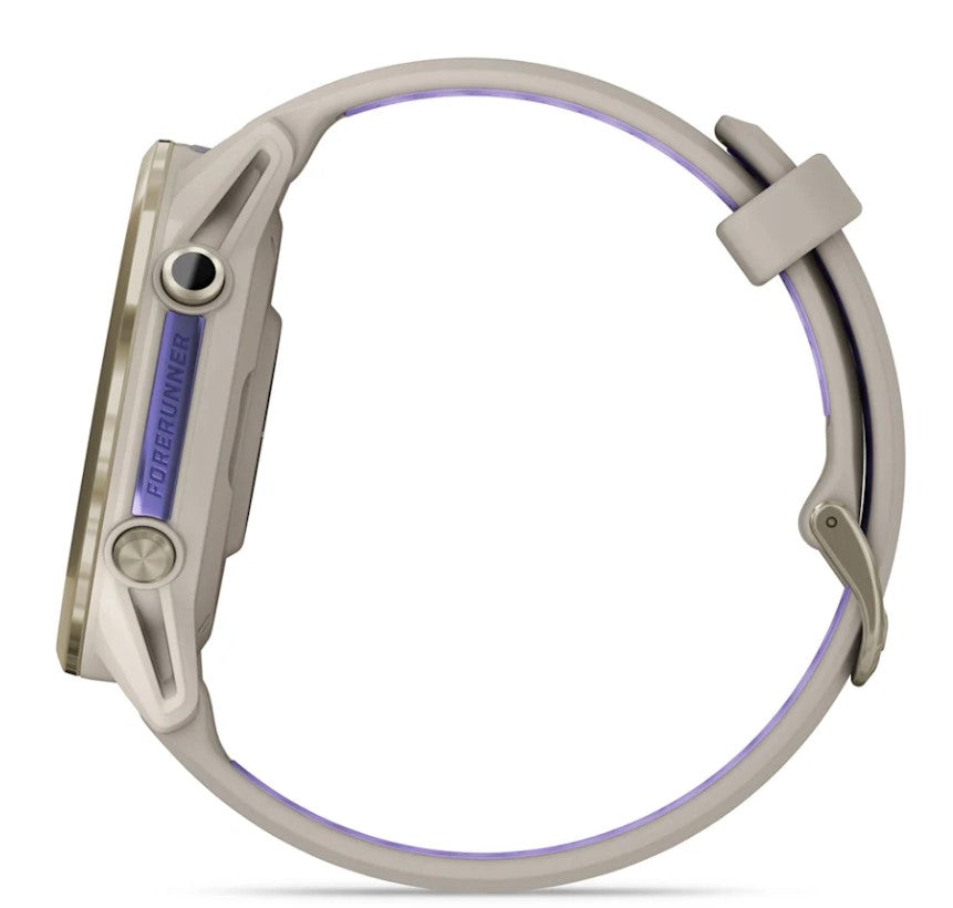 Forerunner® 970 French Gray/Indigo